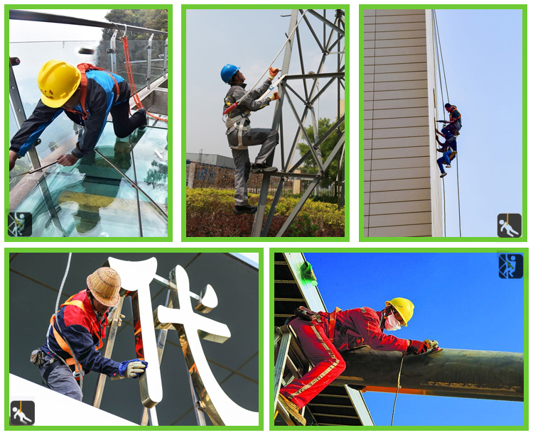 Dây Đai Bán Thân COV Hàn Quốc Loại 2 Móc Nhôm Lớn
