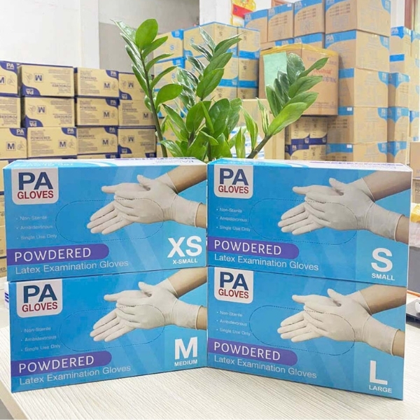Găng Tay Latex Có Bột PA Gloves 100 CáiHộp