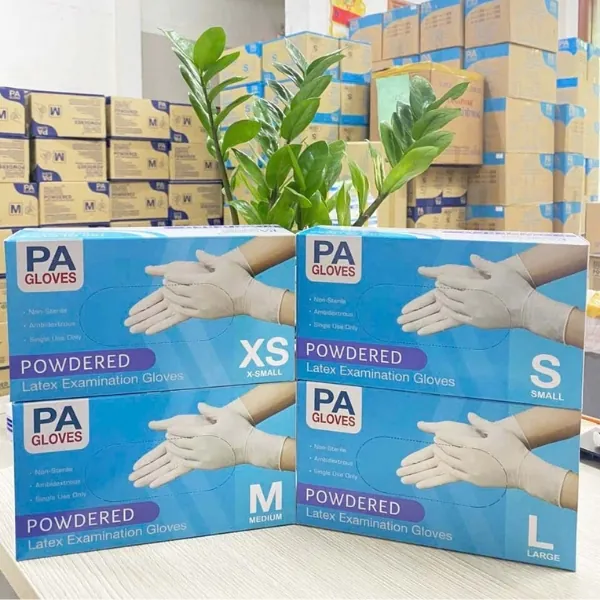Găng Tay Latex Có Bột PA Gloves 100 CáiHộp
